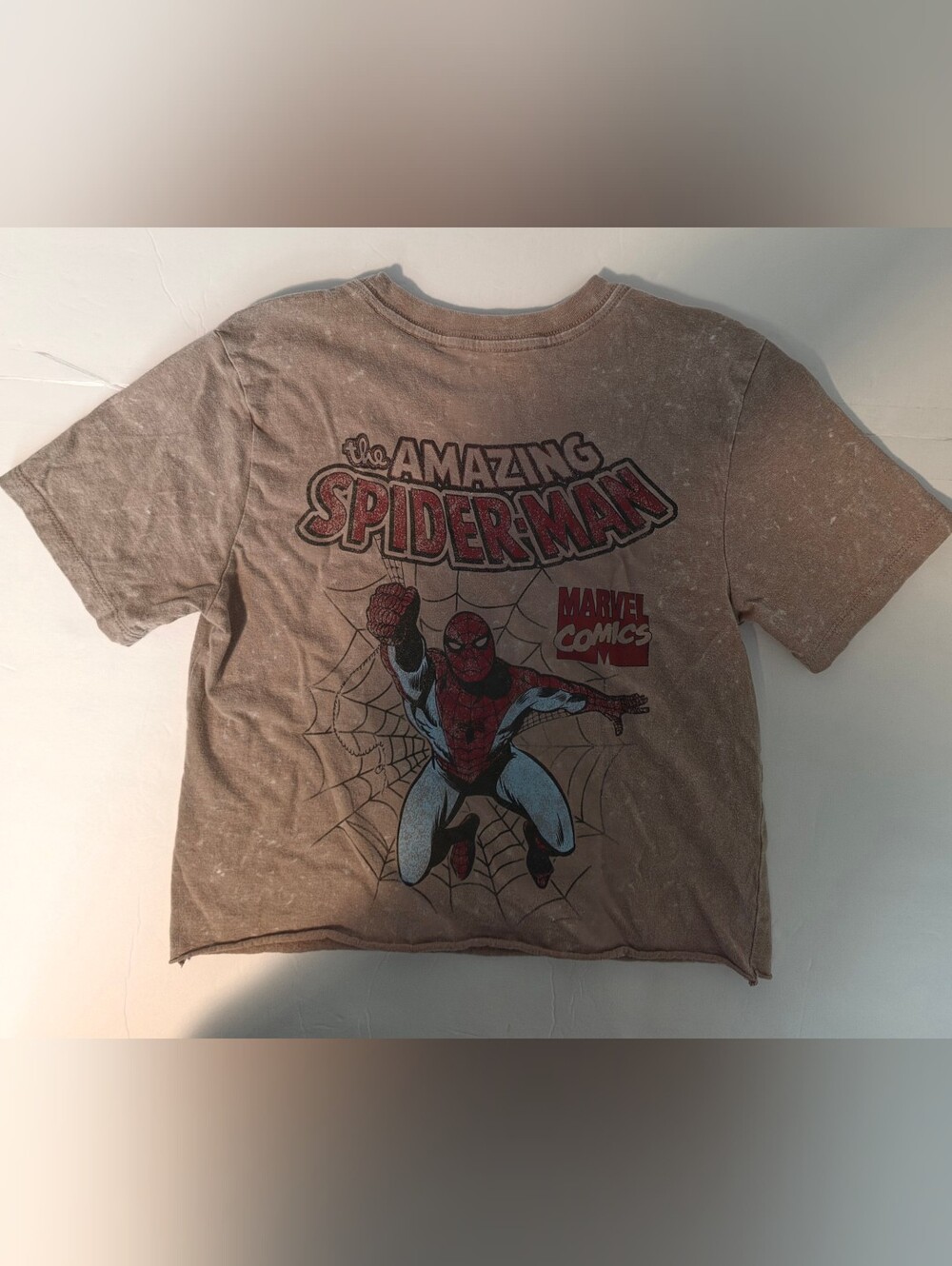 Marvel Spider-Man Graphic Tee Brown with Red and Blue